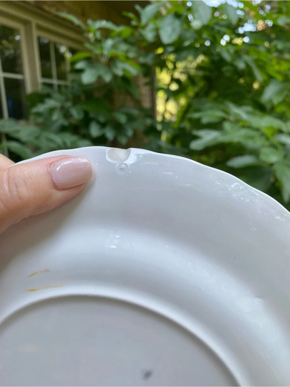 Johnson Bros. Nordic / Blue Onion Scalloped Crimped Dinner Plate